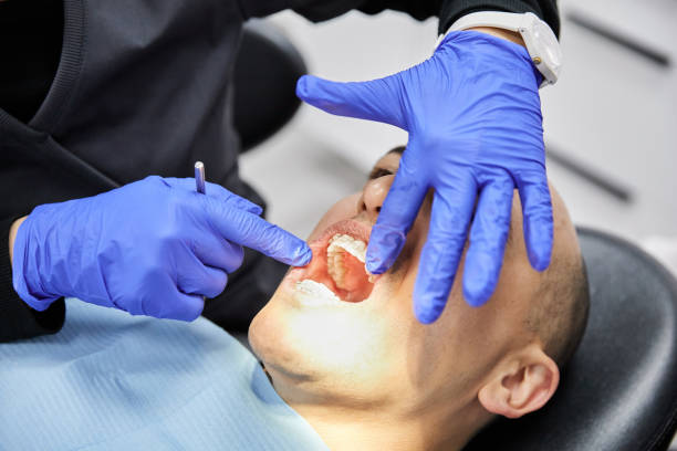 Best Broken or Chipped Tooth Repair in Walthourville, GA
